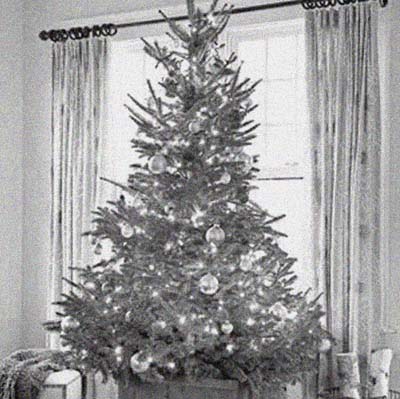 christmas tree set up near window
