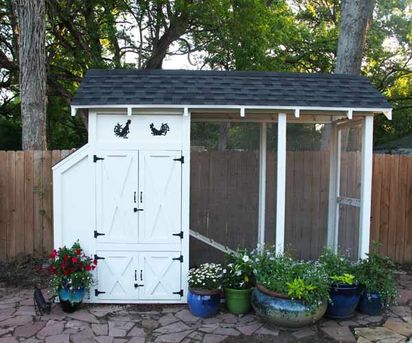 build a better chicken coop, elevated nested spot with ramp to chicken 