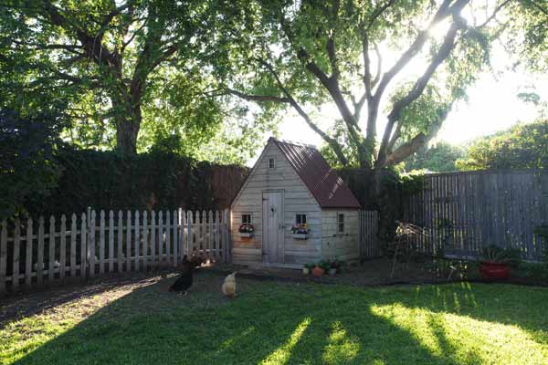 Old Chicken Coops