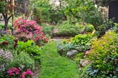 secret garden on urban plot grassy path between perennial beds