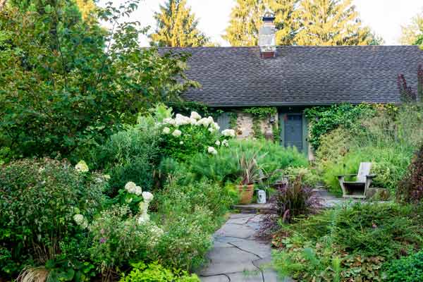 yard with outdoor rooms, front yard with shrubs, perennials, hydrangea, threadleaf bluestar