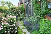 reader remodel contest 2013 before and after cottage garden with roses