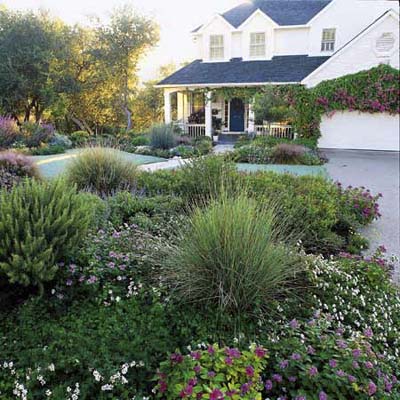 lawn-less garden
