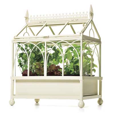 an miniature terrarium for indoors