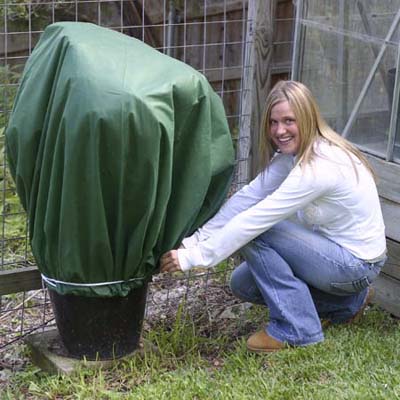 a tarp specially designed for outdoor plants called the Planket made by Brainchild, Inc