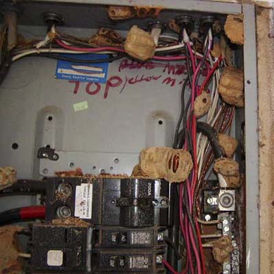 wires covered with dirt dauber nests