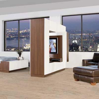 wall divider with swiveling television with a bookcase on the reverse side