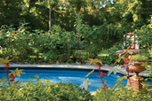 backyard swimming pool