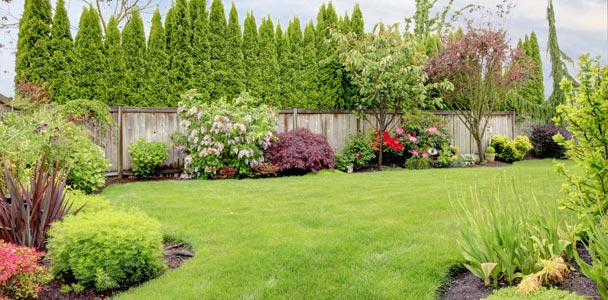 person whose body is fully covered in orange and black safety equipment using a chain saw to trim branches from the tree they are secured to