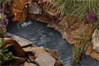 How to Create a Backyard Pond