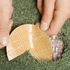 prepare the adhesive disk with cool water
