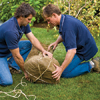 Men tying burlap sack around the bottom of the tree