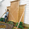 install the trellis