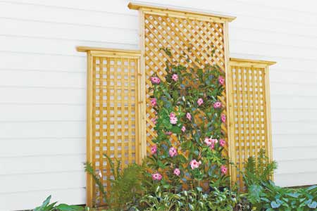 DIY Lattice Trellis