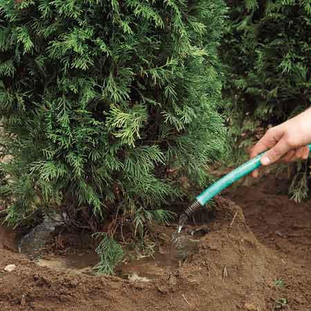 Soak the Soil