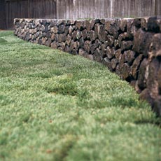 a newly sodded lawn