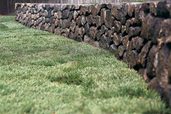 a newly sodded lawn