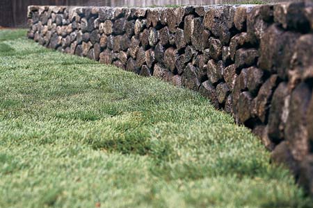 a newly sodded lawn