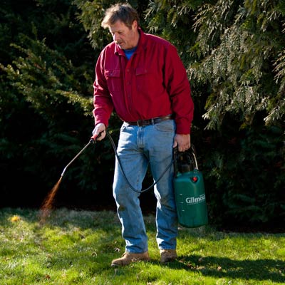 Roger Cook sprays compost tea on a lawn with a pump sprayer