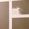 the bedroom wall paneling with call-out areas for filling nail holes and sanded areas and joints to seal