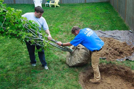 roger cook and another man demonstrate how to plant a tree