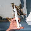 Inject borate wood preservative into holes