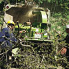 professional tree removal process, step 2, chipping fell limbs