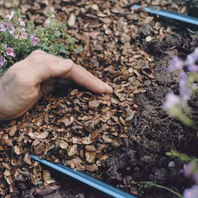 Covering with mulch