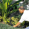 Roll out the irrigation