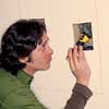 Inspecting the wall cavity with flashlight.