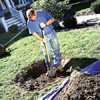 digging the whole for a tree