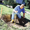 measuring the depth of the tree hole