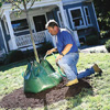setting up drip irrigation bags