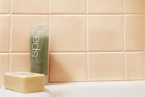 Tiling a Tub tout