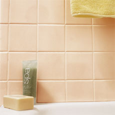 Tiling a Tub tout