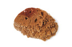 Natural Sea Sponge