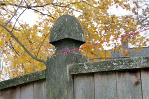 replacing a rotted fence post