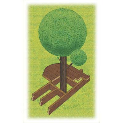 tree frame