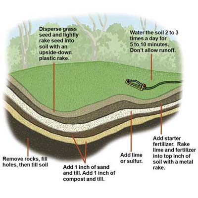 Diagram: lawn layers