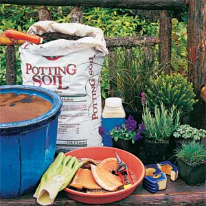 container garden essentials