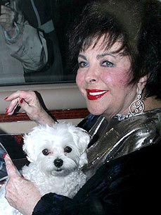 Video Flashback: Elizabeth Taylor Introduces Her New Puppy - Stars and ...