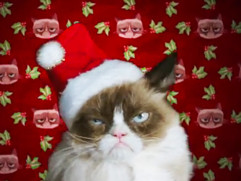 Grumpy Cat's Worst Christmas Ever: Twitter Reactions : People.com
