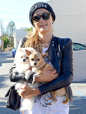 Celebrity Pets Must See Photos and Videos - PEOPLE Pets : People.com